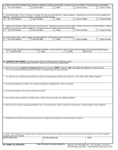 AF Form 745 - Sensitive Duties Program Record Identifier